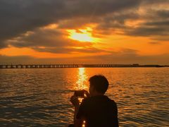 -宝安西湾红树林湿地公园