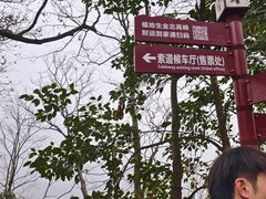 -灵顺寺