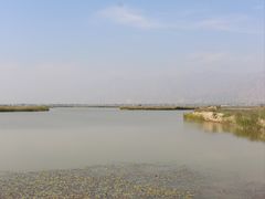 -哈素海
