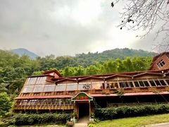 -龙窝子