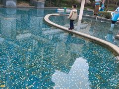 -上海东方佘山翰悦阁酒店·Vie全日制餐厅