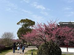 -上海海湾国家森林公园