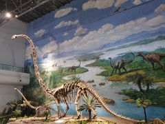 -自贡恐龙博物馆