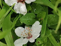 -唐城墙遗址公园