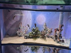 -欢乐海岸海洋奇梦馆