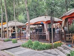 -二荆条·蜀鲜汇城市森林火锅