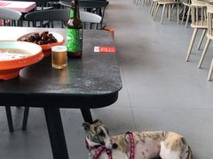 -向外鱼乐·土菜·虹鳟鱼