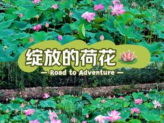 -姜子牙钓鱼台风景区