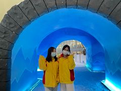 -世界之窗阿尔卑斯冰雪世界