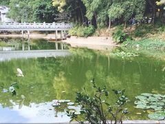 -缘生态云南菜·野生菌庭院餐厅(华侨城店)