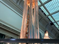 -美国自然历史博物馆