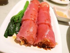 -南枝记