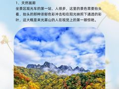 -光雾山旅游景区