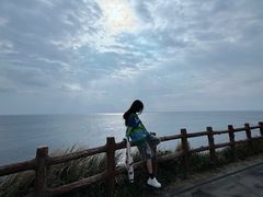-涉地可支