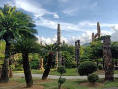 -深圳仙湖植物园