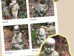 -武陵山森林公园