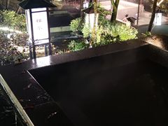 -汤山温泉房车营地 茶温泉