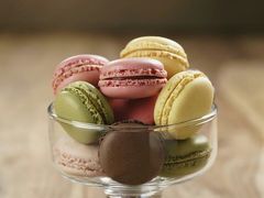 -白家餐厅(徐家汇店)