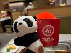 -海底捞火锅(吾悦广场店)