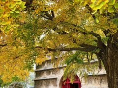 -北京石刻艺术博物馆(五塔寺)