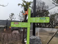 -武汉动物园