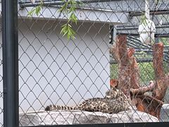 -青藏高原野生动物园