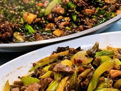 -铁山坪森林公园