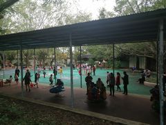 -广东茂名森林公园