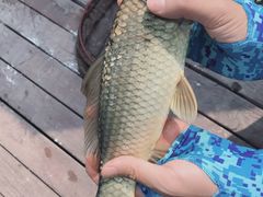 -酷鱼垂钓CLUB(朝阳区博大路店 )