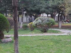 -辽宁大学(崇山校区)