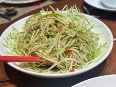 生呛西葫芦丝-红城阁·上海味道(四平路店)