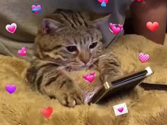 -仙山谷激浪漂流