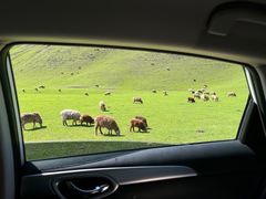 -新疆那拉提国家旅游度假区