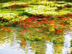 -水磨沟公园