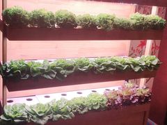 -满堂欢豆捞坊(美丽华大酒店店)