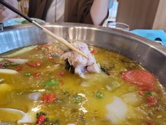 -七椒渔府·特色雅鱼餐厅(雨城店)