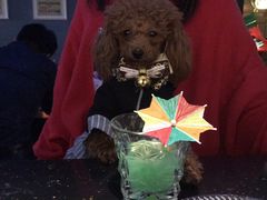 -RP酒吧·静吧·BAR