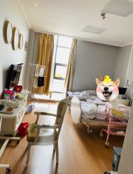 -武汉百佳妇产医院