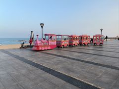 -日照灯塔风景区