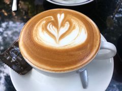 拿铁咖啡-Fern Forest Cafe
