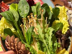 -腾格里· 蒙古山羊火锅(北京中关村店)
