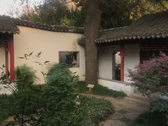-秋霞圃