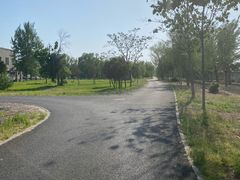 -杨柳青庄园