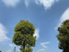 -眉山湿地公园(东坡区)