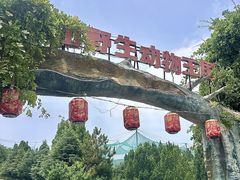 -五龙山野生动物王国