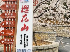 -樱花山风景区