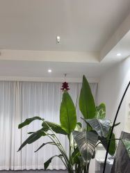 -春田皮肤管理中心品牌旗舰店
