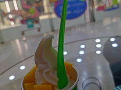 -Salud撒露欧洲冻酸奶(北苑上品店)