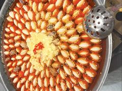 -水哥卜卜贝(东晓·胜汇里店)