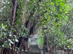 -小南山公园